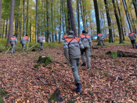 La protection civile effectue l'opération de recherche dans la forêt